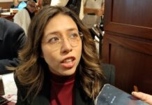 Dip Naomi Gómez aclara que licencia de nueva fiscal es anual, pero el cargo es de cuatro años.