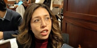 Dip Naomi Gómez aclara que licencia de nueva fiscal es anual, pero el cargo es de cuatro años.