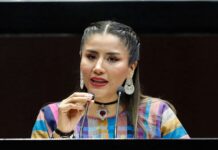 Diputada plantea iniciativa para despenalizar muerte asistida para personas mayores de 18 años.