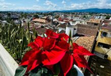 Exhorta Ayuntamiento a colaborar en el cuidado de la imagen urbana