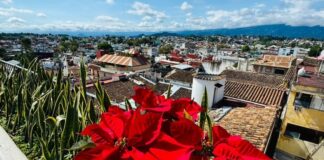 Exhorta Ayuntamiento a colaborar en el cuidado de la imagen urbana