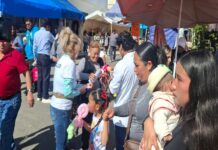 Salud Municipal llama a evitar abandono de mascotas durante festividades guadalupanas y refuerza acciones de prevención en Xalapa.