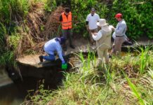 Inspecciones, monitoreo ambiental y operativos en el sur de Veracruz: PMA