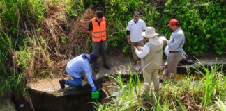 Inspecciones, monitoreo ambiental y operativos en el sur de Veracruz: PMA