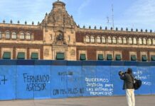 Urge retomar trabajos para Alertas de Violencia de Género, único mecanismo contra feminicidio: OCNF