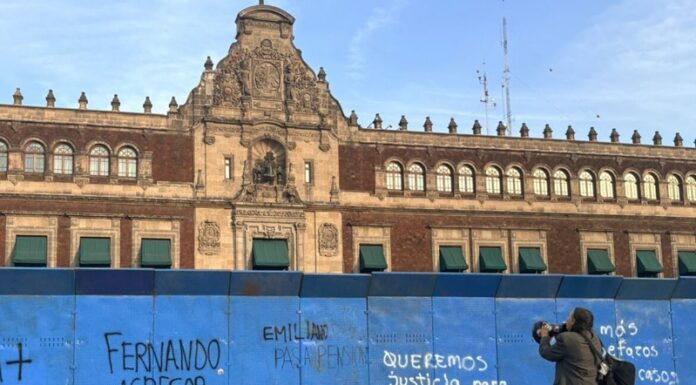 Urge retomar trabajos para Alertas de Violencia de Género, único mecanismo contra feminicidio: OCNF