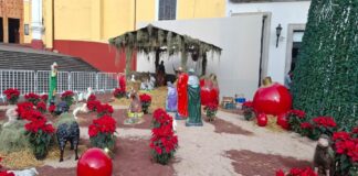 Espíritu de la navidad llegó al centro de Xalapa .