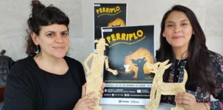 Cosmonautas Teatro de Sombras presenta “Perriplo”, una obra sobre vínculos, encuentros y aventuras.
