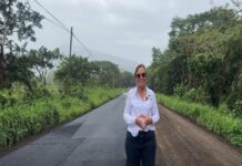 Nahle: liderazgo en el asfalto veracruzano