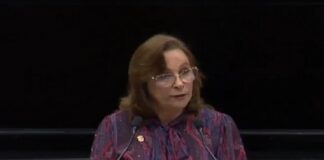 Nahle: trabajo mata grillas y campañas negras .