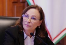 Nahle: el rigor del poder en tiempos de prisa .