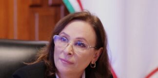 Nahle: el rigor del poder en tiempos de prisa .