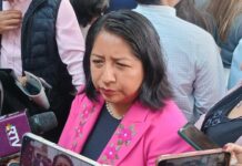 TSJEV revisarán retrasos judiciales y caso sobre jueces involucrados en despojos: Rosalba Hernández.