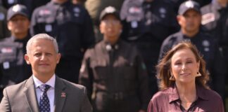 Profesionalizar el reto de Reyes Garcés en la seguridad de Veracruz.