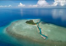 Atrévete a vivir tus vacaciones de invierno en playas veracruzanas.