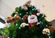 #Xalapa: Emite PC Municipal recomendaciones por fiestas decembrinas.