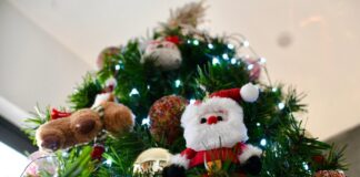 #Xalapa: Emite PC Municipal recomendaciones por fiestas decembrinas.