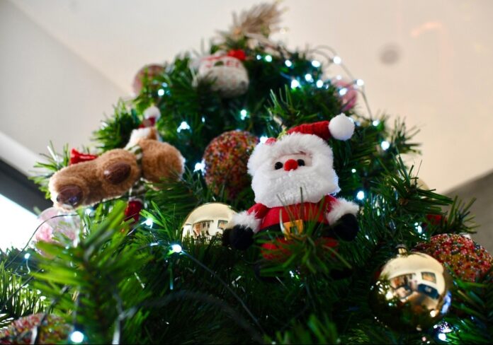 Screenshot_20251212_131035