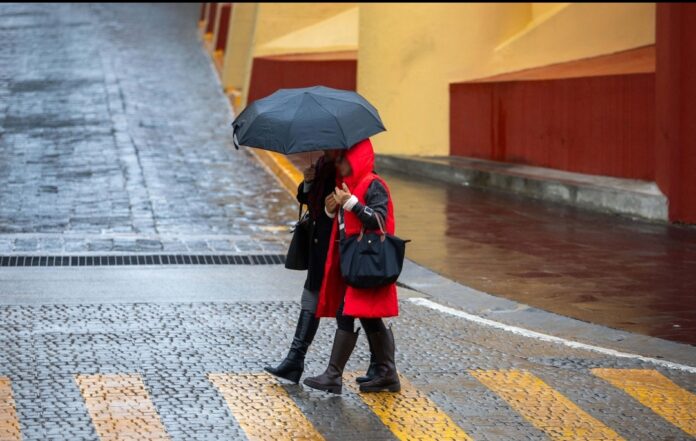 Screenshot_20251213_121502