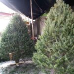 Llama Protección Civil de Xico a reforzar medidas de prevención durante la temporada navideña.