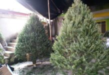 Llama Protección Civil de Xico a reforzar medidas de prevención durante la temporada navideña.