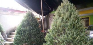 Llama Protección Civil de Xico a reforzar medidas de prevención durante la temporada navideña.