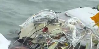 Sky Decker, el héroe inesperado en la tragedia aérea de Galveston.