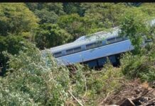 Marina confirma 13 fallecidos en el descarrilamiento del tren interoceánico en Oaxaca.