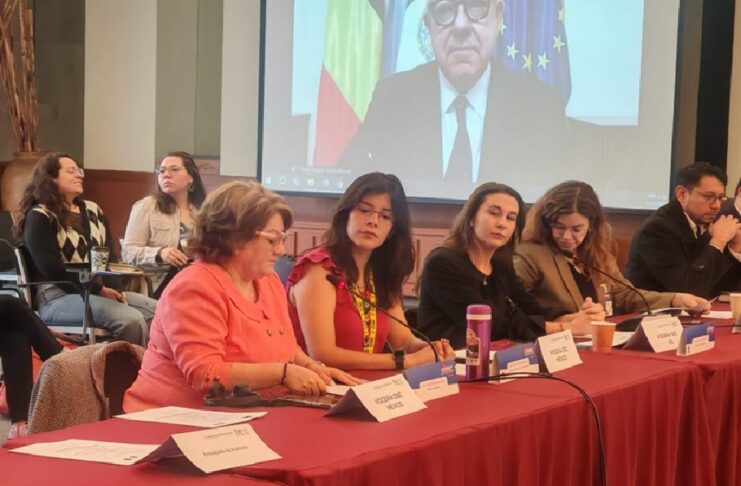 Defensoras y periodistas piden a UE y Estado mexicano acciones ante retrocesos en derechos humanos.