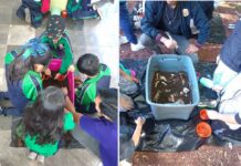 ¿Quieres ser arqueólogo-a por un día? Cuates del MAX invita a niñas y niños.