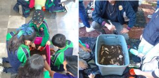 ¿Quieres ser arqueólogo-a por un día? Cuates del MAX invita a niñas y niños.