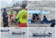 Turista muere tras impacto de ballena en Puerto Vallarta.