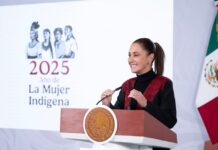 Firma voluntaria de donación de órganos podría incluirse en nueva credencialización de salud: presidenta Sheinbaum