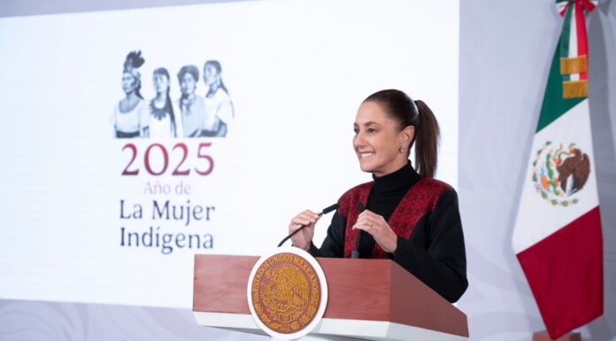 Firma voluntaria de donación de órganos podría incluirse en nueva credencialización de salud: presidenta Sheinbaum