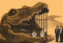 Nuevas investigaciones revelan violaciones de D.D.H.H. en centros de detención de “Alligator Alcatraz” y Krome, en Florida