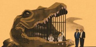 Nuevas investigaciones revelan violaciones de D.D.H.H. en centros de detención de “Alligator Alcatraz” y Krome, en Florida