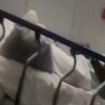 Desmienten decreto nacional de confinamiento en Reino Unido por gripe H3N2.