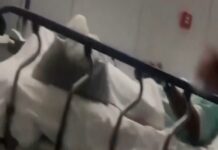 Desmienten decreto nacional de confinamiento en Reino Unido por gripe H3N2.