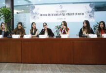 10.6 millones de niñas y mujeres fueron víctimas de ciberacoso en México durante 2024..