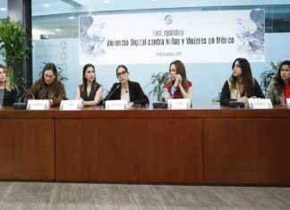 10.6 millones de niñas y mujeres fueron víctimas de ciberacoso en México durante 2024..