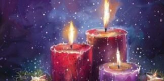 PROTOCOLOS DE LA CIUDADANÍA; Y SEGURIDAD DECEMBRINA 2025