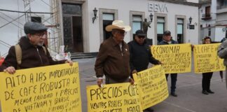 Cafetaleros de Veracruz denuncian castigo al precio del café .