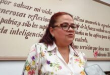 Día del Pueblo reúne a más de 500 ciudadanos en Xalapa.