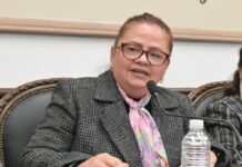 Daniela y la movilidad .