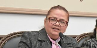 Daniela y la movilidad .