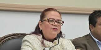 Recaudación municipal en Xalapa supera los 134 millones de pesos: Daniela Griego