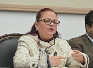 Recaudación municipal en Xalapa supera los 134 millones de pesos: Daniela Griego