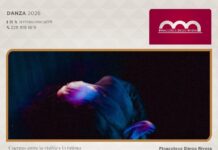 #Xalapa: Asiste al ciclo escénico de danza: Cuerpos entre lo visible y lo íntimo en la Pinacoteca