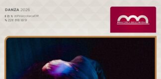 #Xalapa: Asiste al ciclo escénico de danza: Cuerpos entre lo visible y lo íntimo en la Pinacoteca