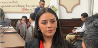 Renovación de luminarias refuerza seguridad en zonas estratégicas de Xalapa .
